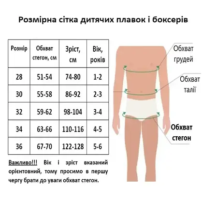 Оптом дитячі купальні боксери для хлопчиків (арт. 25-13-267) 28-36рр., фото 4