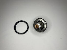 Термостат на Iveco Daily E3 (2000-2005) 2.8, 500329622