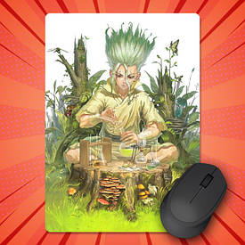 Килимки для миші 210х290 мм Dr. Stone