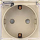 Вимикач (1кл.) + Розетка з кришкою 1DAL | Золото (P157-SW1G-STCR.GD), фото 5