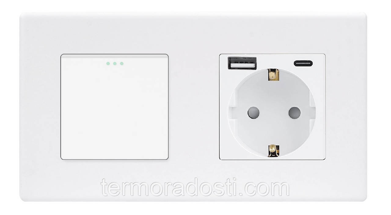 Вимикач (1кл.) + Розетка USB і Type-C 1DAL | Білий (P157-SW1G-STUTC.WT), фото 1
