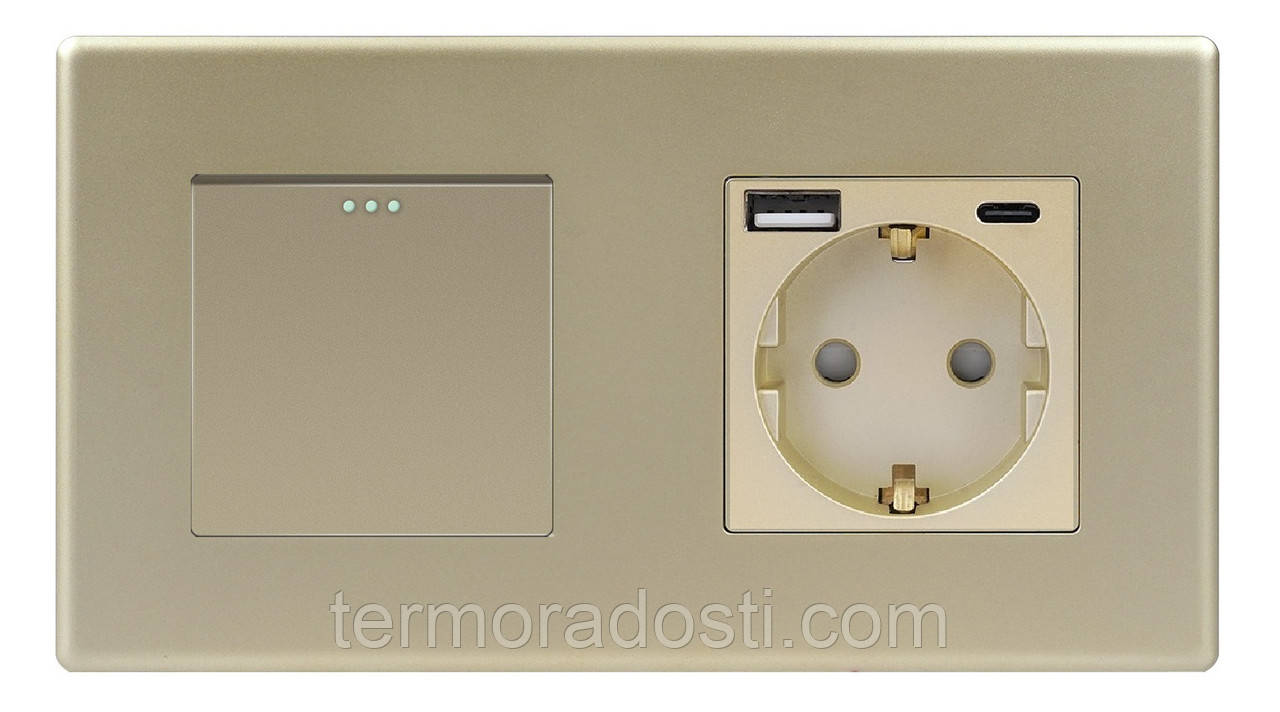 Вимикач (1кл.) + Розетка USB і Type-C 1DAL | Золото (P157-SW1G-STUTC.GD), фото 1