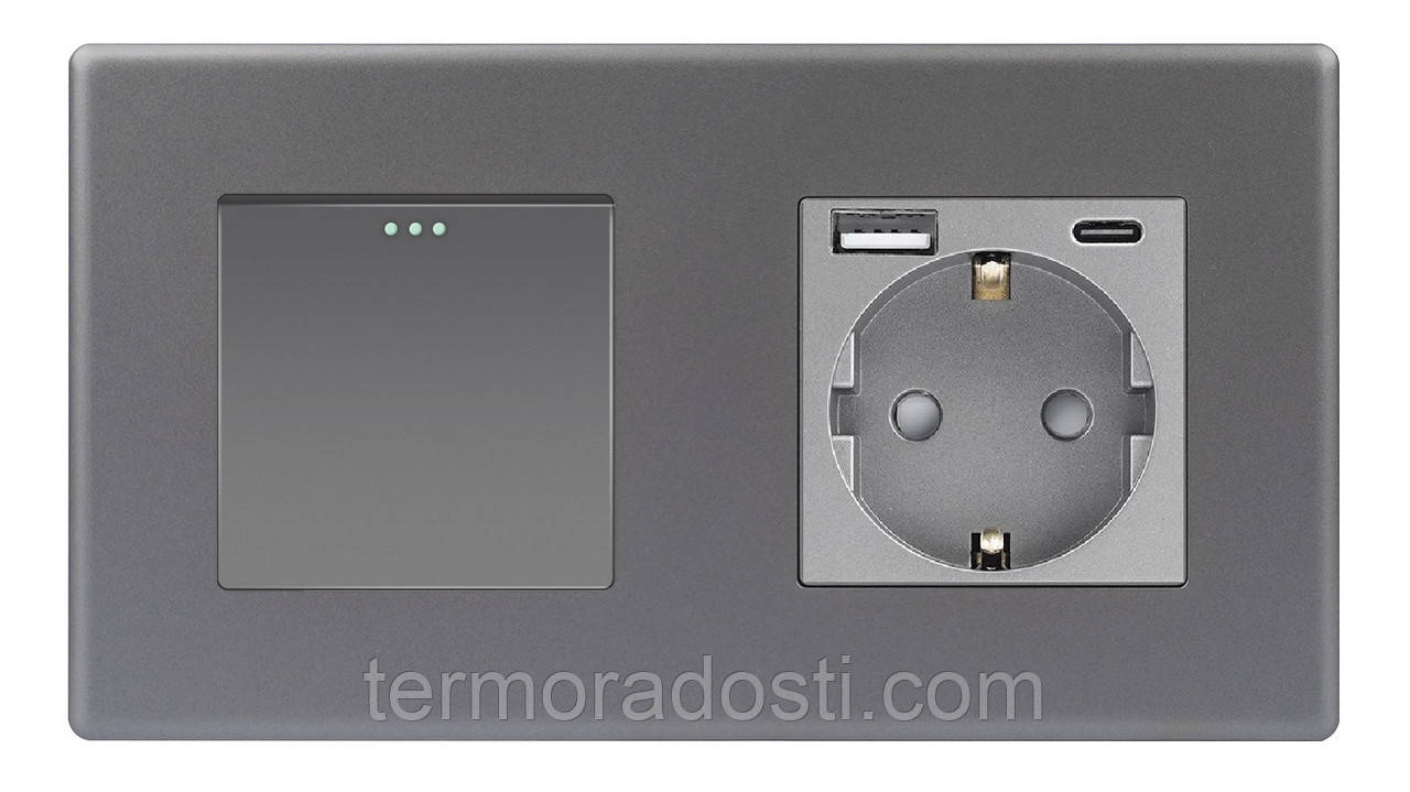 Вимикач (1кл.) + Розетка USB і Type-C 1DAL | Сірий (P157-SW1G-STUTC.GR), фото 1