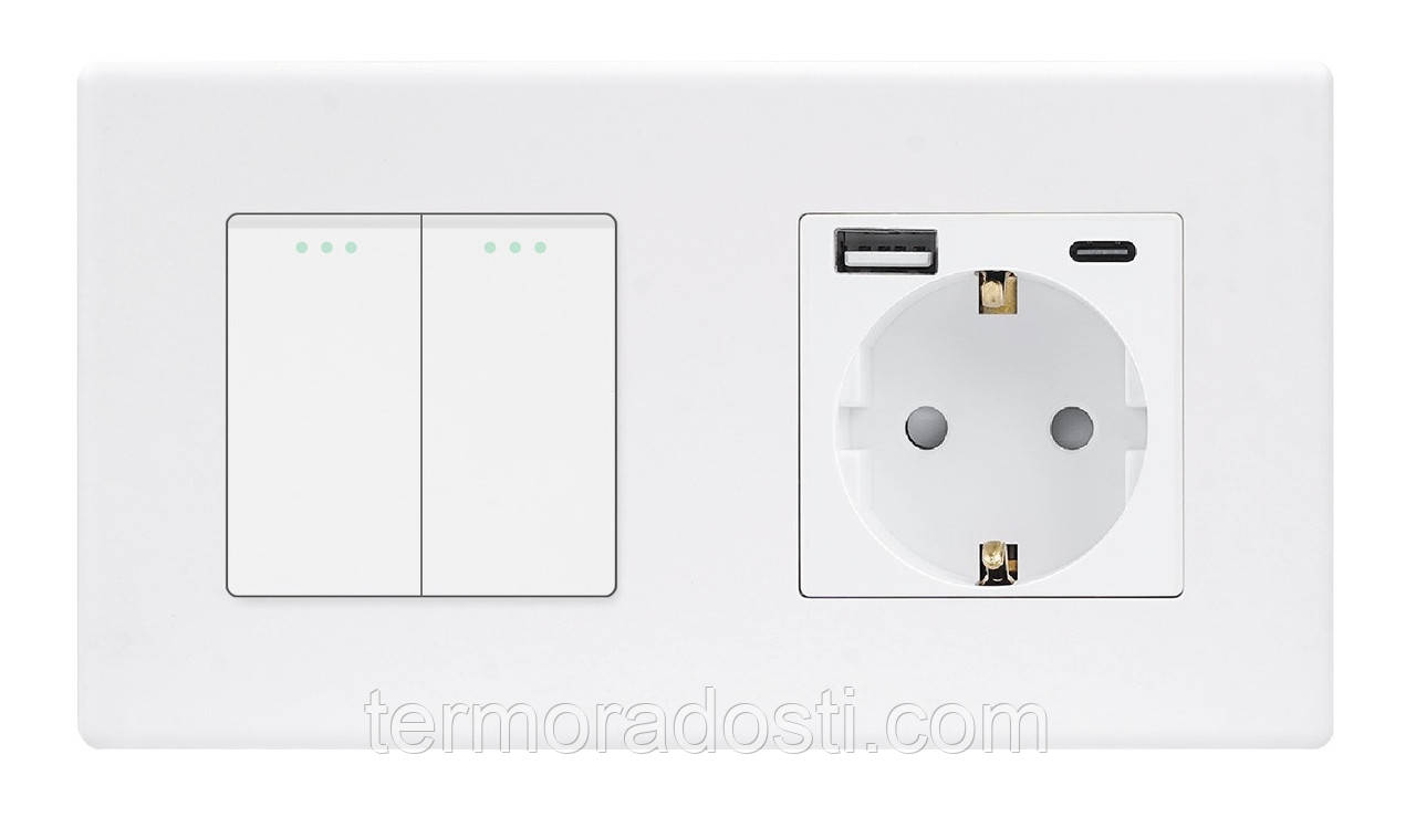Вимикач (2кл.) + Розетка USB і Type-C 1DAL | Білий (P157-SW2G-STUTC.WT), фото 1