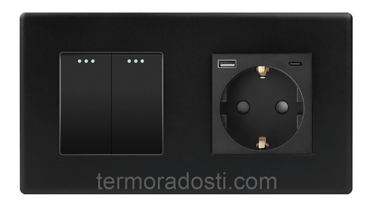 Вимикач (2кл.) + Розетка USB і Type-C 1DAL | Чорний (P157-SW2G-STUTC.BL), фото 1