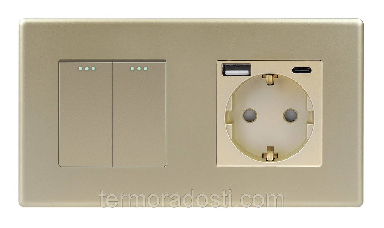 Вимикач (2кл.) + Розетка USB і Type-C 1DAL | Золото (P157-SW2G-STUTC.GD), фото 1