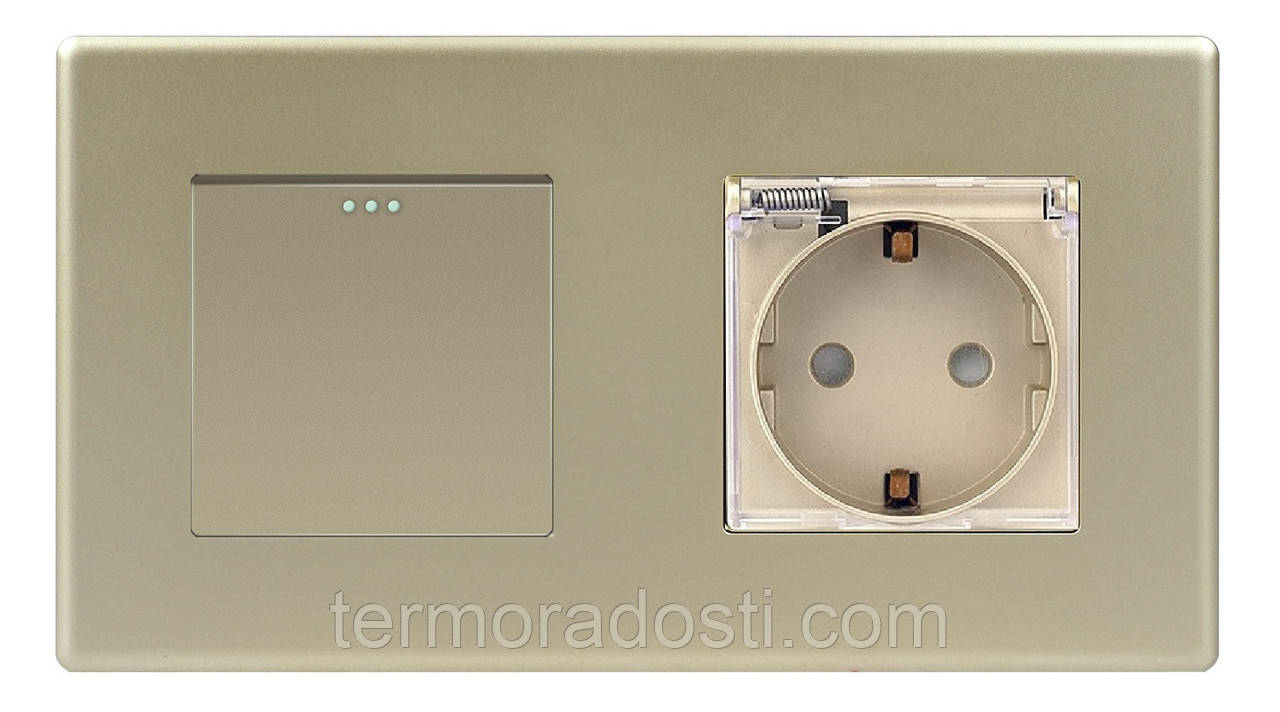 Вимикач (1кл.) + Розетка з кришкою 1DAL | Золото (P157-SW1G-STCR.GD), фото 1
