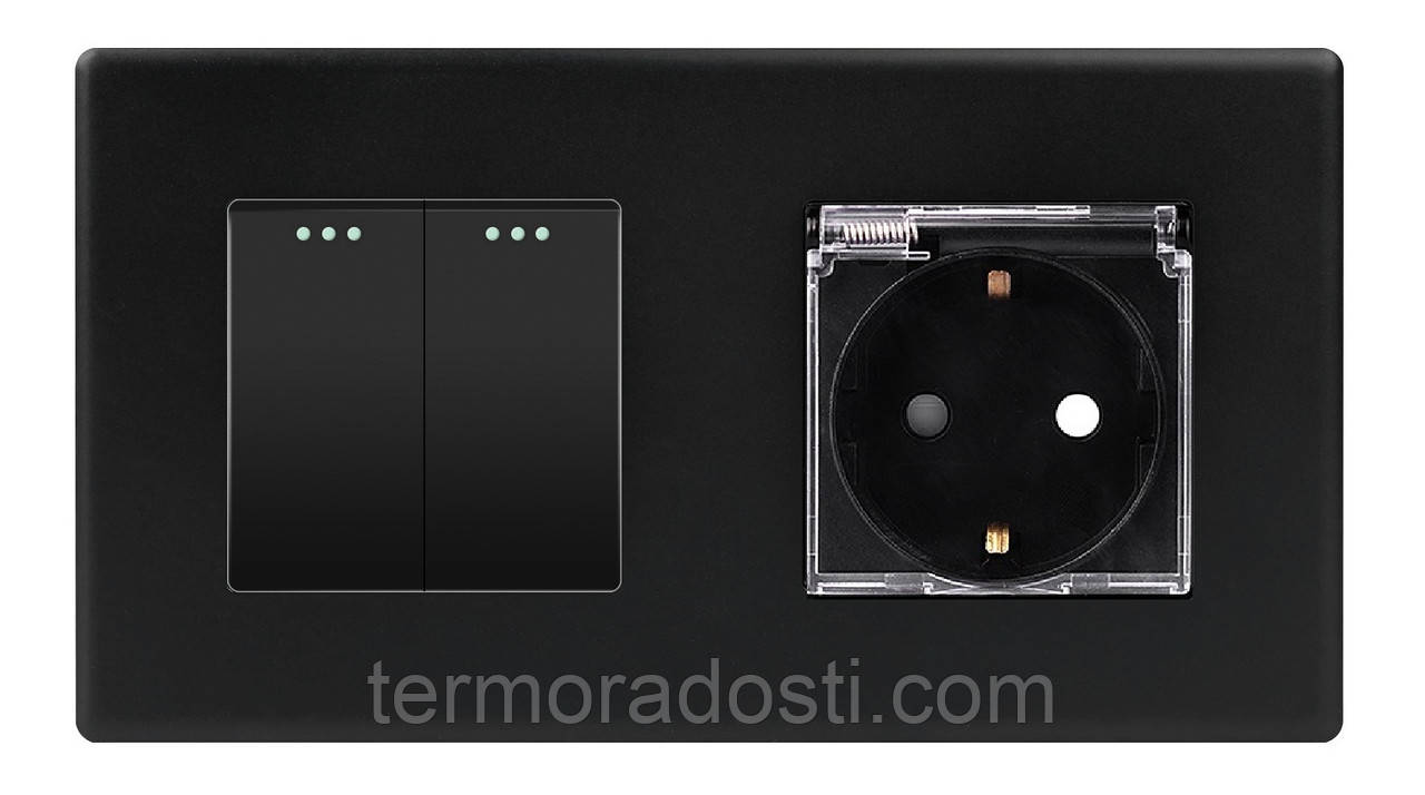 Вимикач (2кл.) + Розетка з кришкою 1DAL | Чорний (P157-SW2G-STCR.BL), фото 1