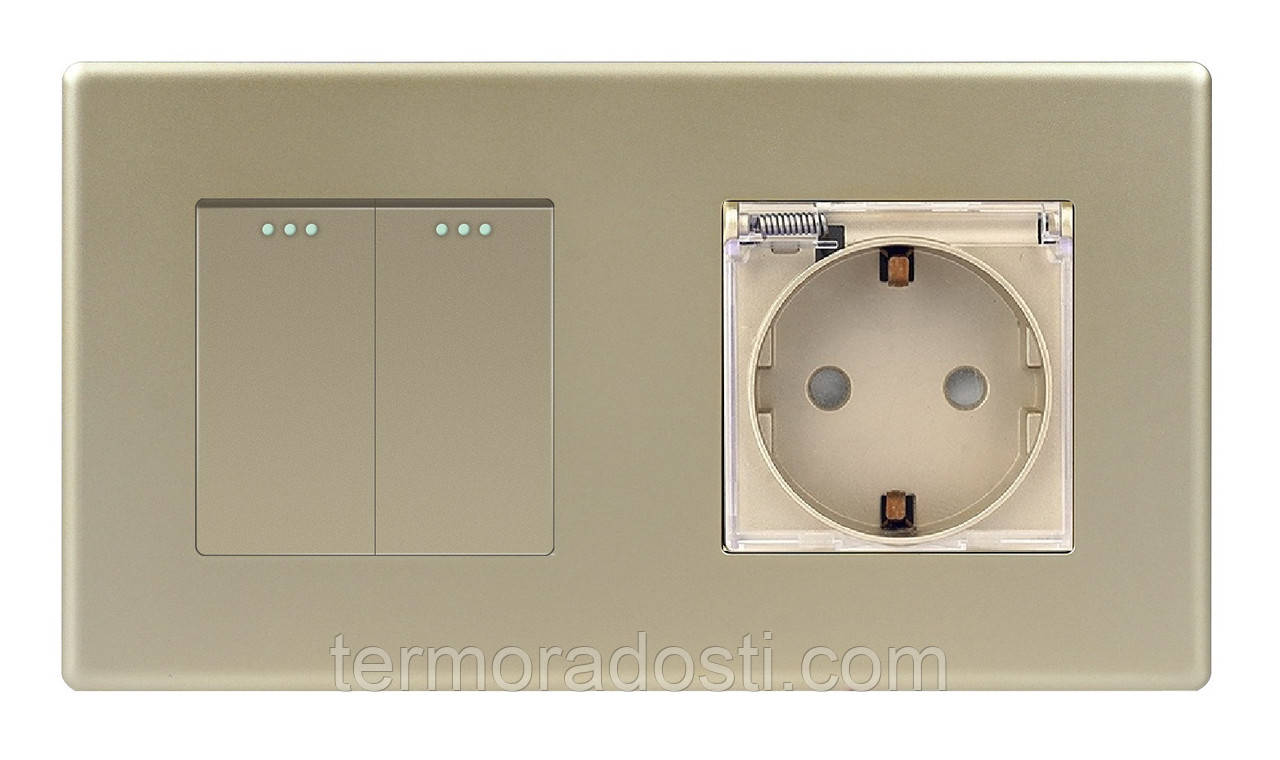 Вимикач (2кл.) + Розетка з кришкою 1DAL | Золото (P157-SW2G-STCR.GD), фото 1