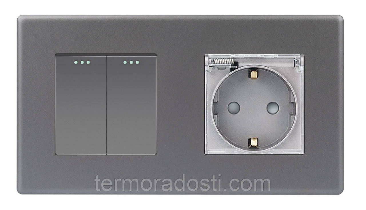 Вимикач (2кл.) + Розетка з кришкою 1DAL | Сірий (P157-SW2G-STCR.GR)