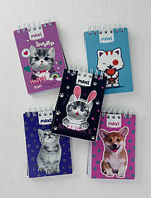 Блокнот А7 На спіралі Пластикова обл. 80 аркушів у клітку (26312+) Economix