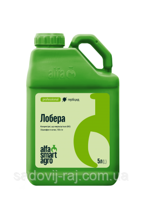 Гербіцид Лобера 5 л Alfa Smart Agro / Альфа Смарт Агро Україна