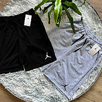 Шорти NIKE Air Jordan Mini Logo