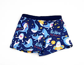 Оптом дитячі купальні боксери для хлопчиків (арт. 25-13-266)  28-36рр.