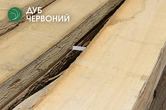 Дошка необрізна дуба червоного 52 мм, 1 ґатунок