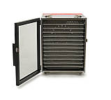 Сушарка промислова для харчових продуктів (дегідратор) GoodFood WS12PRO, фото 2