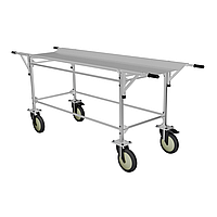 Візок-каталка анатомічна зі зйомними ношами ТПБ-ЗН Медапаратура