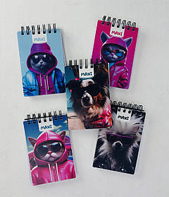 Блокнот А7 На спіралі Пластикова обл. 80 аркушів у клітку (26310) Economix