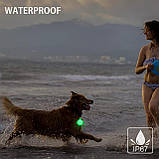 Ліхтарі для собак NOVKIN, 2 шт., з USB-акумулятором, зміною кольору, водонепроникні світлодіодні ліхтарі для безпеки собак IP67, фото 4