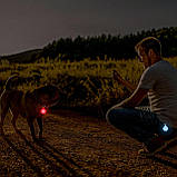 Ліхтарі для собак NOVKIN, 2 шт., з USB-акумулятором, зміною кольору, водонепроникні світлодіодні ліхтарі для безпеки собак IP67, фото 3