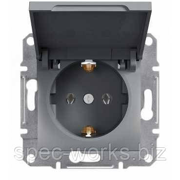 Розетка із заземленням із кришкою сталь Schneider Asfora EPH3100162