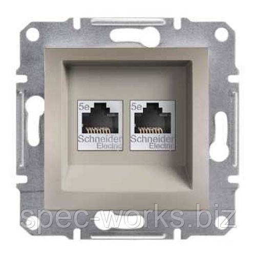 Розетка комп'ютерна 2-а бронза Schneider Asfora EPH4400169