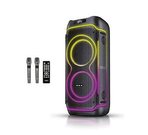 Акустичная переносная колонка ZXX-5530 2x8