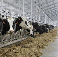 Товари для ФЕРМЕРСЬКИХ господарств