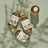 Заспокійливий тонер з морським полином ROUND LAB Mugwort Calming Toner 300 ml  + Подарунок 3 пробника, фото 2