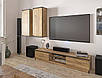 Сучасна низька довга тумба під телевізор тв плазму 160 см з дверцятами у вітальню Бруклін Мебель Сервіс, фото 5