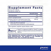 Pure Encapsulations Poly-Prebiotic / Пребіотики та поліфеноли для підтримки шлунково-кишкового тракту 120 капсул. BX321, фото 2