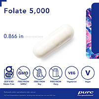 Pure Encapsulations Folate 5000 / Фолат активна форма L-5-MTHF вітамін Б9 5000 мкг 60 капс.BX331, фото 3
