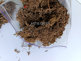 Стабілізований мох без поливу. Колір Artis КОРИЧНЕВИЙ 100 г