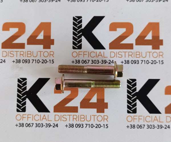 Болт GB/T16674.1 M10*60-8.8-Zn, D 210101330057