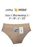 Труси жіночі DCPOLO 26864 MODAL, фото 2