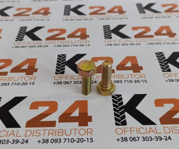 Болт M10*1.25*30-10.9 10357/04/14233624 240100025771