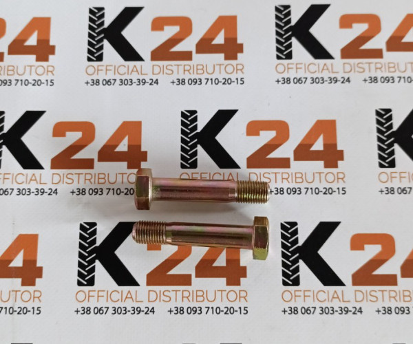 Болт гальмівних колодок 1.65.550/4995687 240100002274