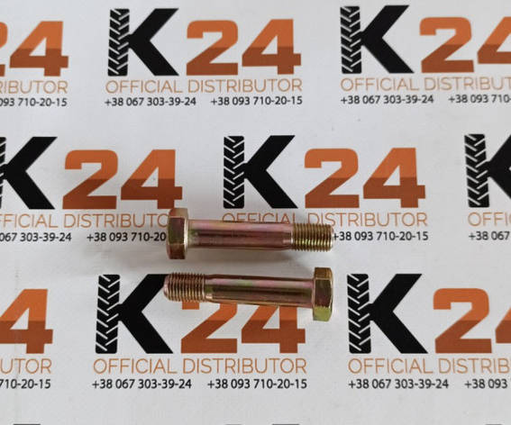 Болт гальмівних колодок 1.65.550/4995687 240100002274, фото 1