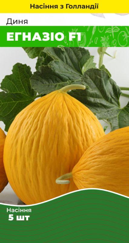 Насіння Диня Егназіо F1 5 шт (Голландія) зіп-пакет