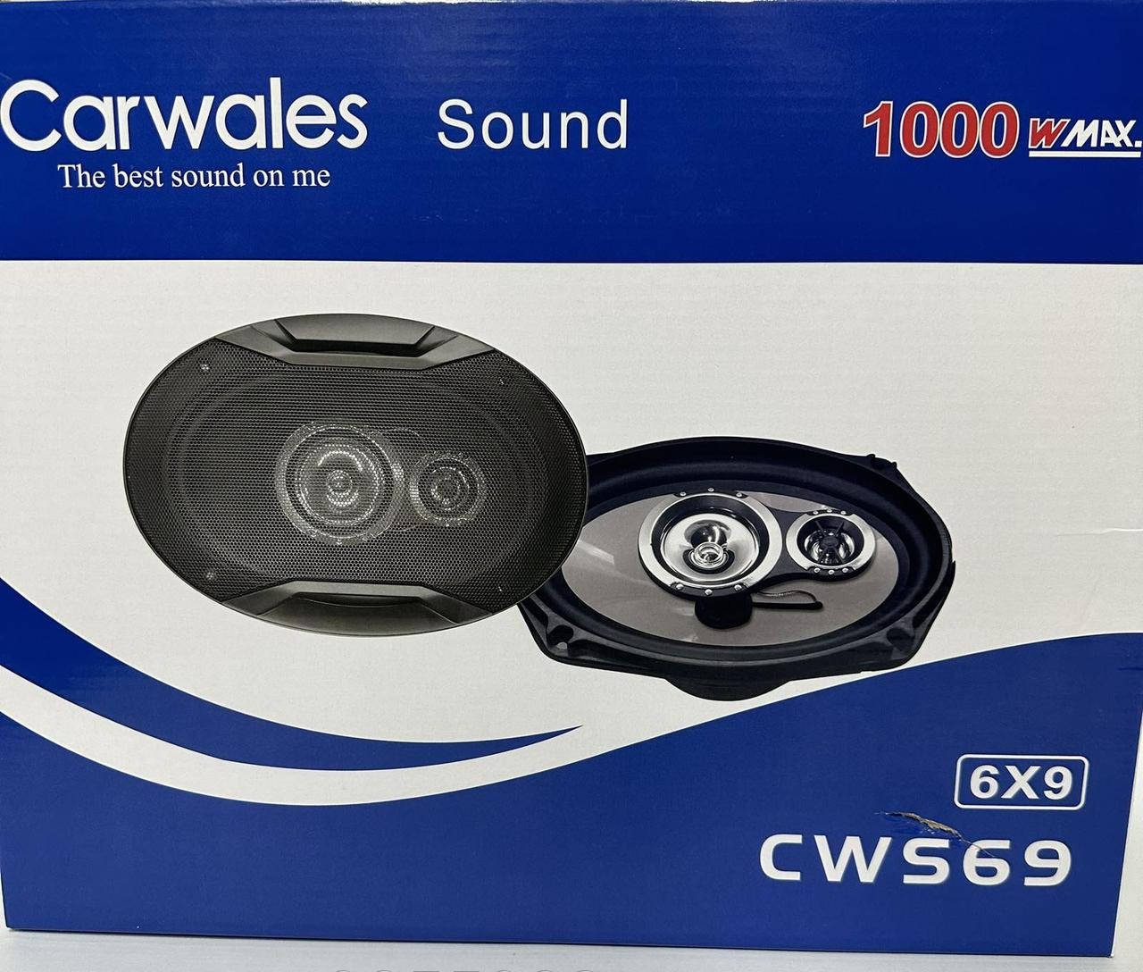 Динаміки овальні автомобільні CWS69 Carwales Sound 6*9 автоакустика