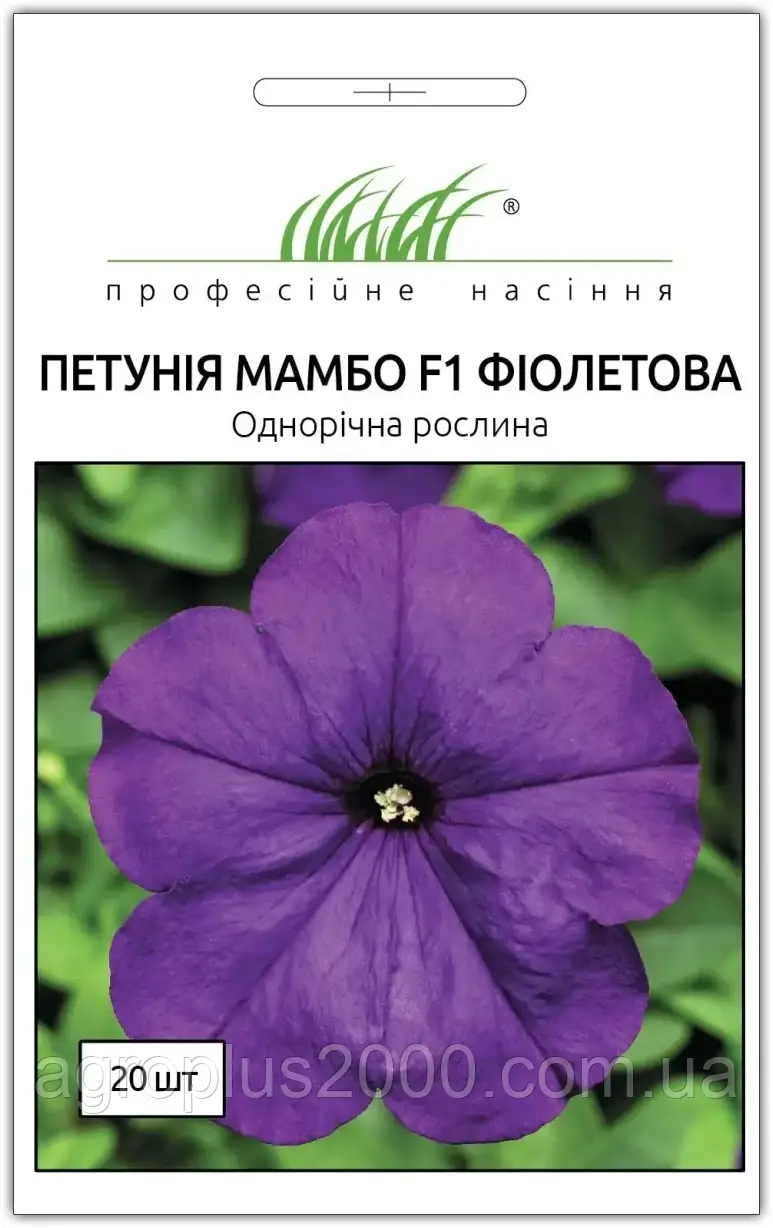 Насіння Петунія багатоквіткова Мамбо F1 Фіолетова 20 насінин Hem Genetics