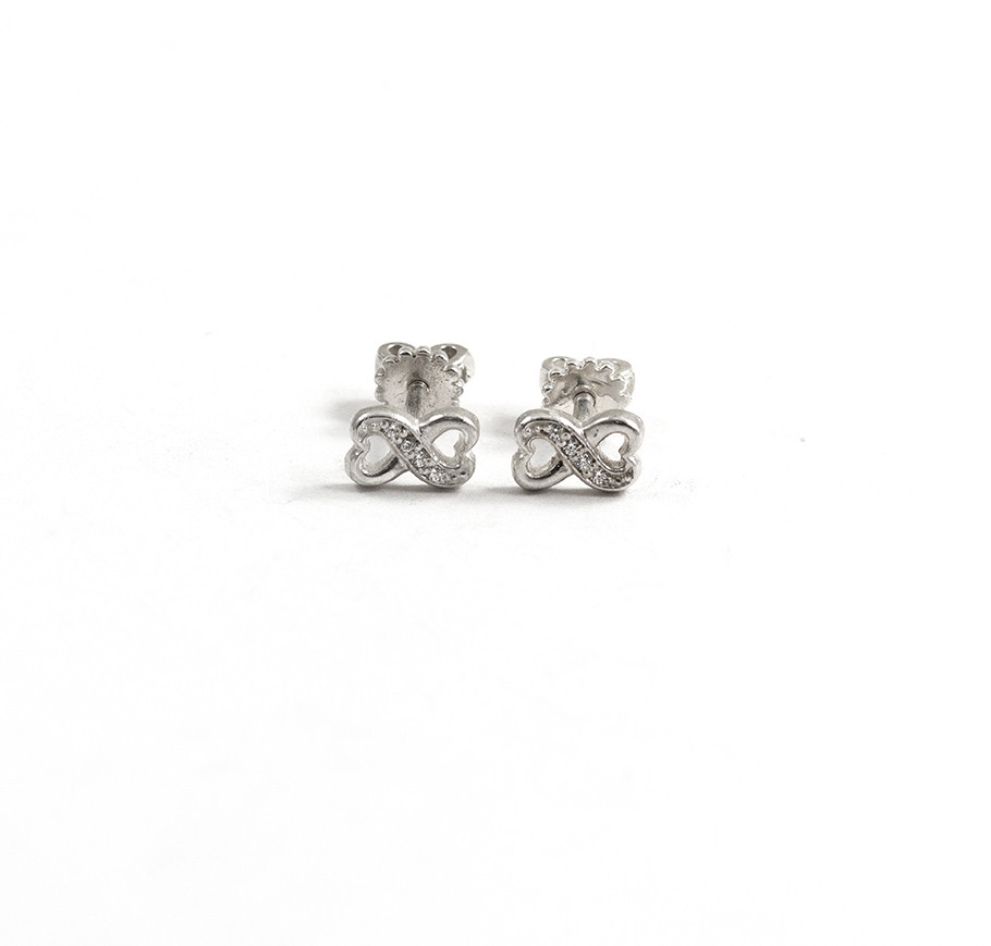 Гвоздики Нескінченність, фото 1