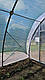 Теплиця 6х20м "Змонтуй сам" від виробника, фото 8
