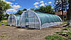 Теплиця 6х20м "Змонтуй сам" від виробника, фото 5