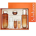 Косметичний набір з концентрованим женьшенем new Sulwhasoo Concentrated Ginseng Anti-Aging Daily Routine, фото 2