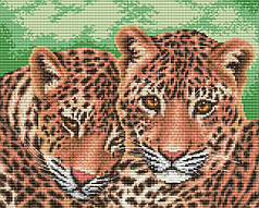 Набір для вишивки муліне ДМС "Леопарди", 32х25 см
