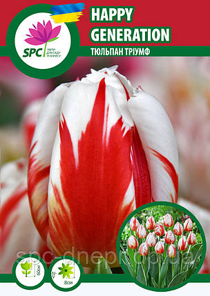 Тюльпан тріумф Happy Generation, фото 1
