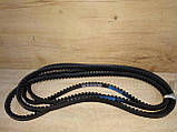 Ремінь Вентилятора Помпи ACX17X1118LI  BX44, фото 2