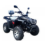 Квадроцикл Linhai Z210 EFI Об'єм 177.3 куб.см Інжектор 16 Л.С. 7500 об./хвшини 10"-10" купити в Україні дешево, фото 8