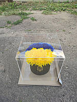 Букет георгін з атласних стрічок в акриловому кубі